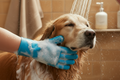 MIVUPI  Coat Reset Glove – 2-in-1 Dog Bath & Deshedding Glove for Gentle Grooming and Loose Fur Removal